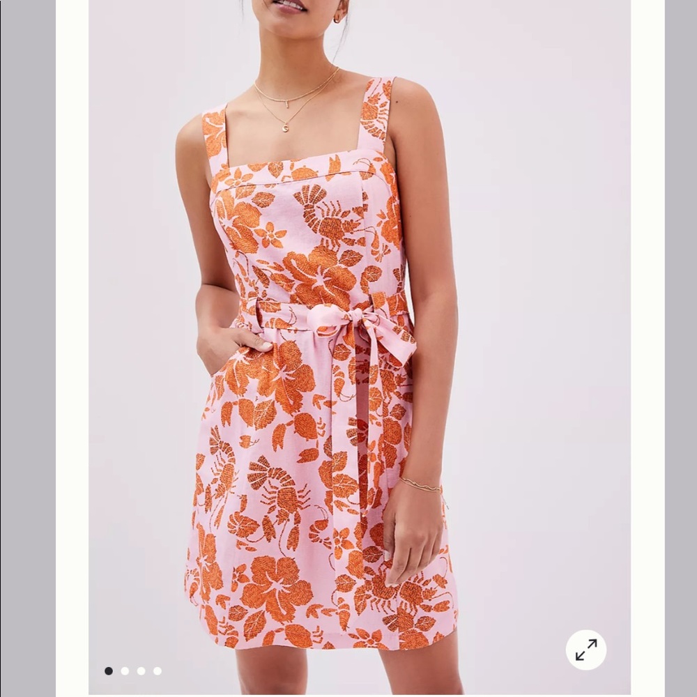 ANTHRO Farm Rio Floral Mini Dress